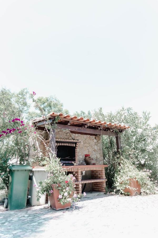 Maison d'hôtes Quinta Do Cerrado Setúbal Extérieur photo